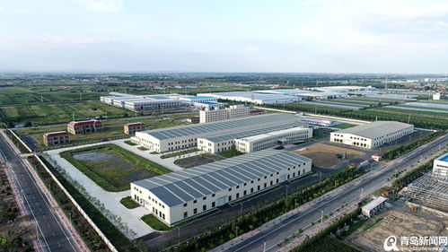 青農(nóng)大明年春季啟用 平度南村加快臨空經(jīng)濟(jì)區(qū)建設(shè)