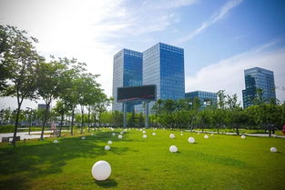 凰探 十年高新鑄就產(chǎn)業(yè)新引擎 誰是新動能的引領(lǐng)者